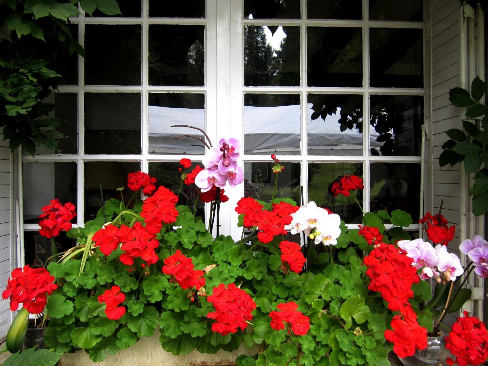 Bed and Breakfast La Croix Du Reh Chateauneuf-la-Foret Экстерьер фото